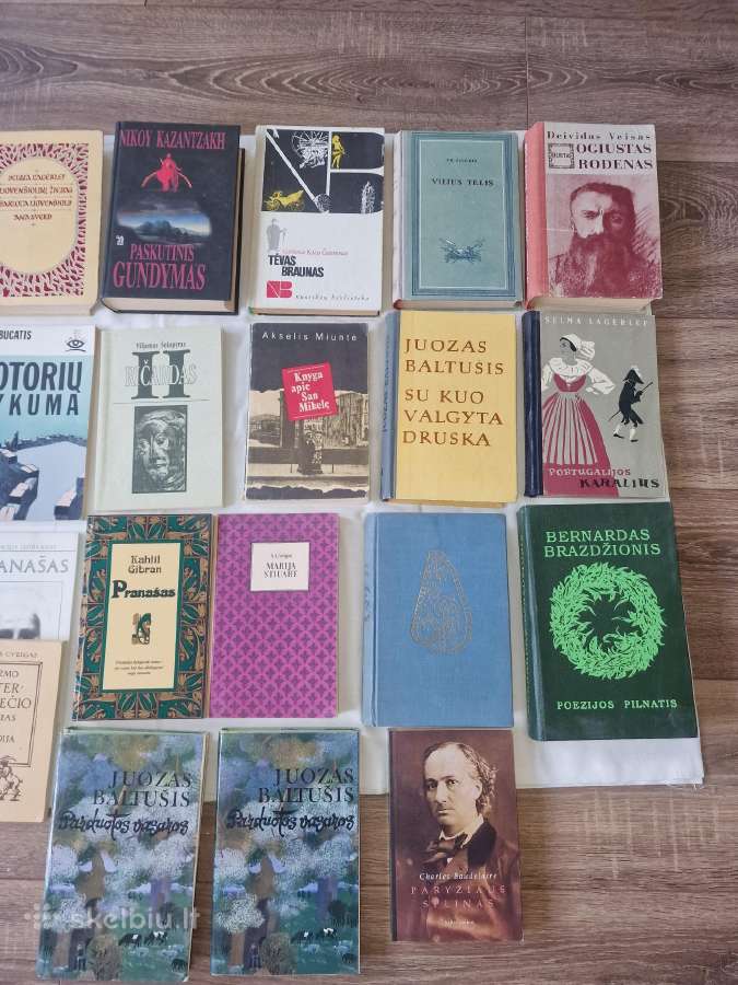 Pasaulinės ir lietuvių literatūros klasika. - nuotraukos Nr. 3