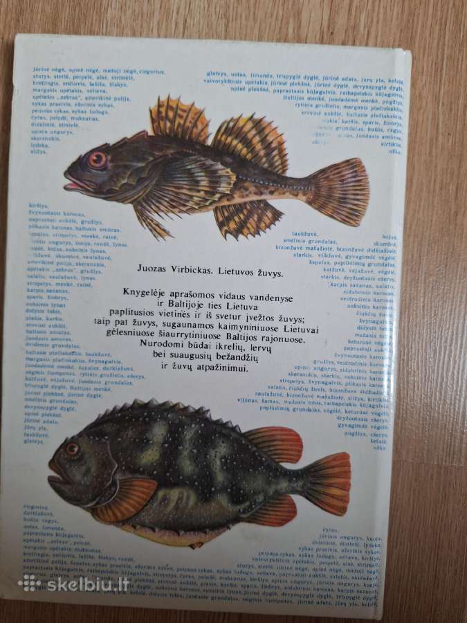Lietuvos žuvys - nuotraukos Nr. 2