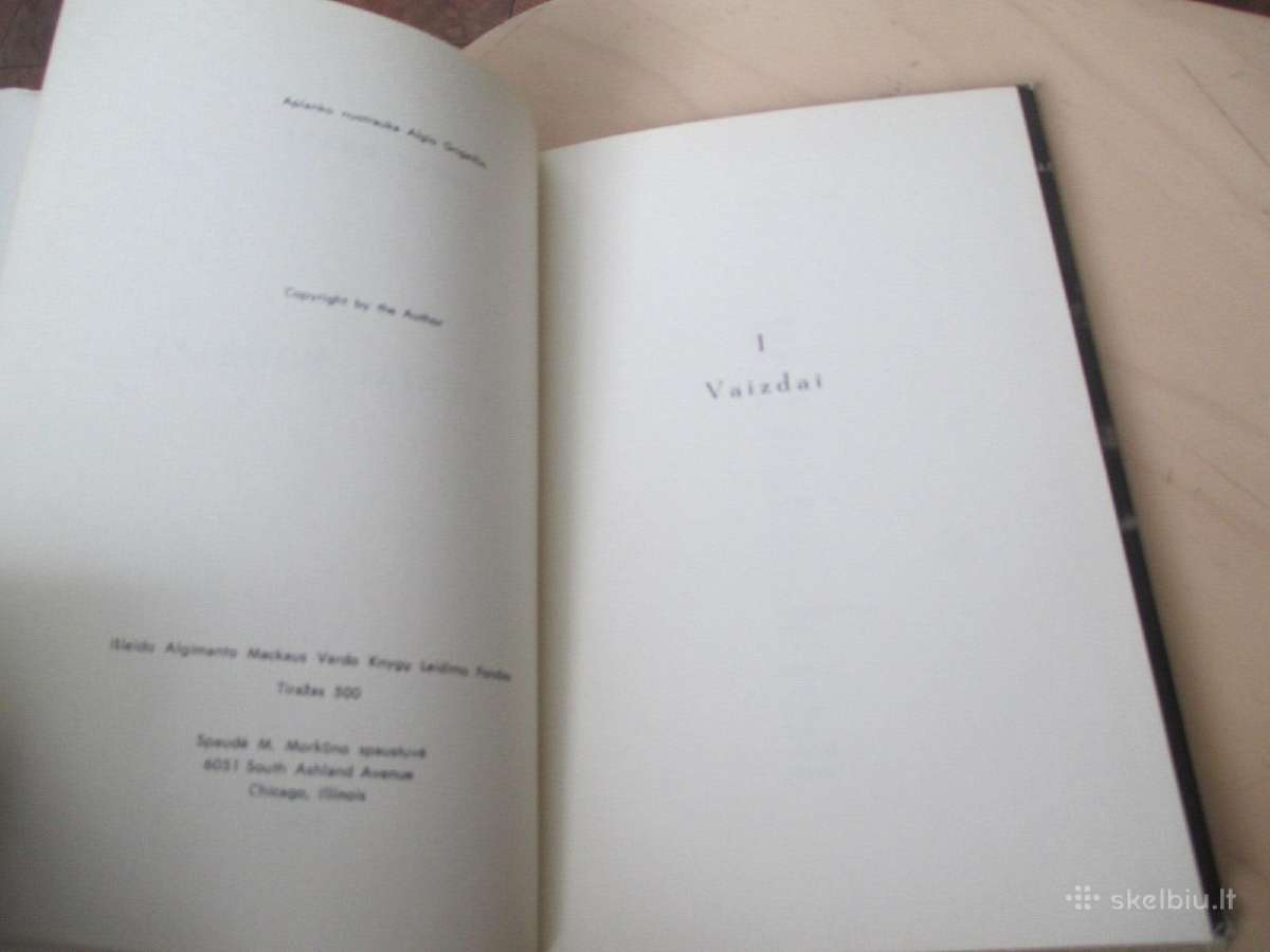 Jonas Mekas - Pavieniai žingsniai 1967 m. Čikaga - nuotraukos Nr. 5