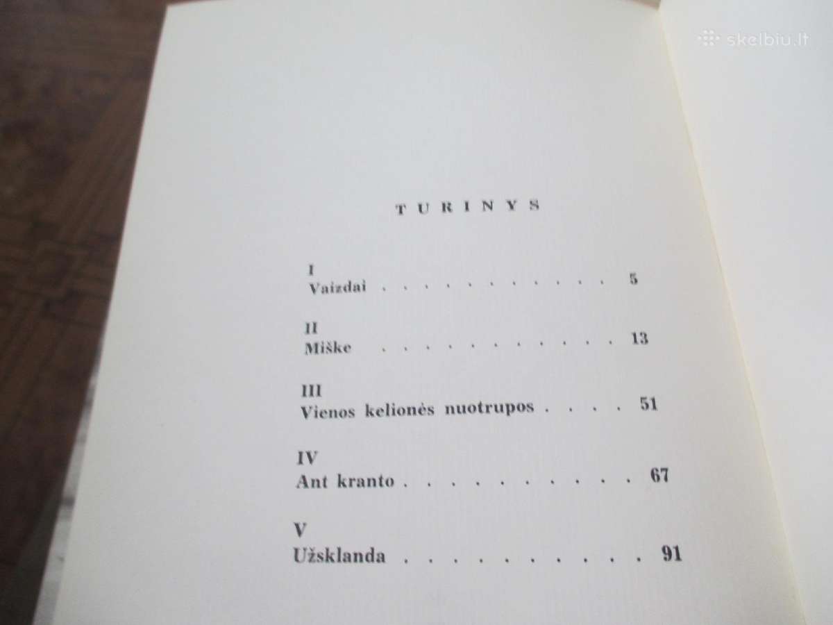 Jonas Mekas - Pavieniai žingsniai 1967 m. Čikaga - nuotraukos Nr. 6