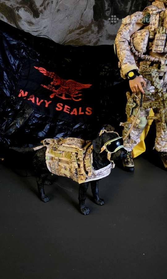 Kolekcinė 1/6 mastelio Us Navy Seal figurėle. - nuotraukos Nr. 2