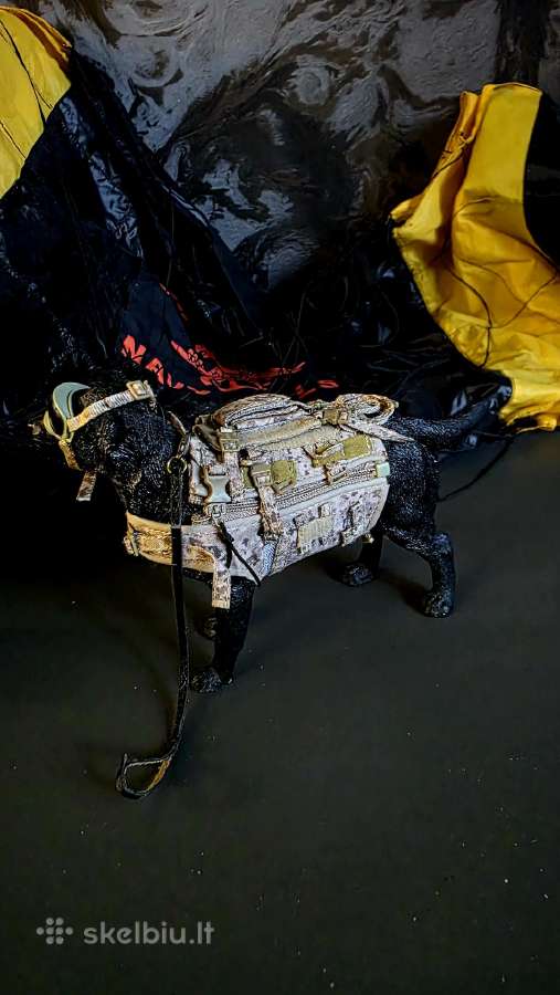 Kolekcinė 1/6 mastelio Us Navy Seal figurėle. - nuotraukos Nr. 7