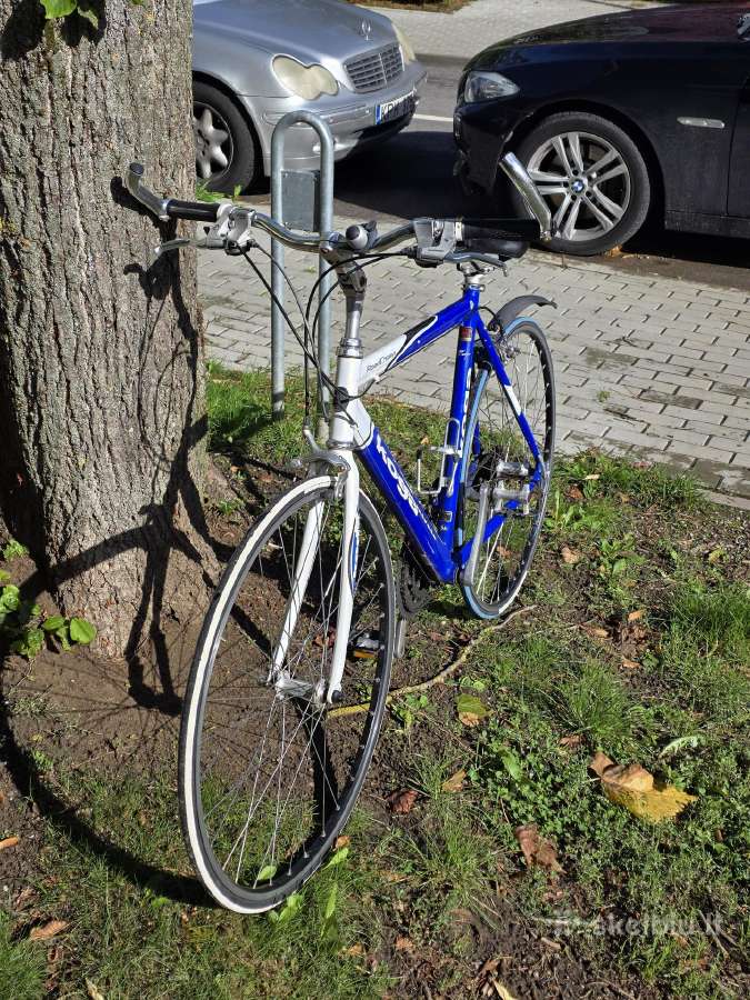 Fitness dviratis Koga Miyata Roadchamp (56 cm) - nuotraukos Nr. 2