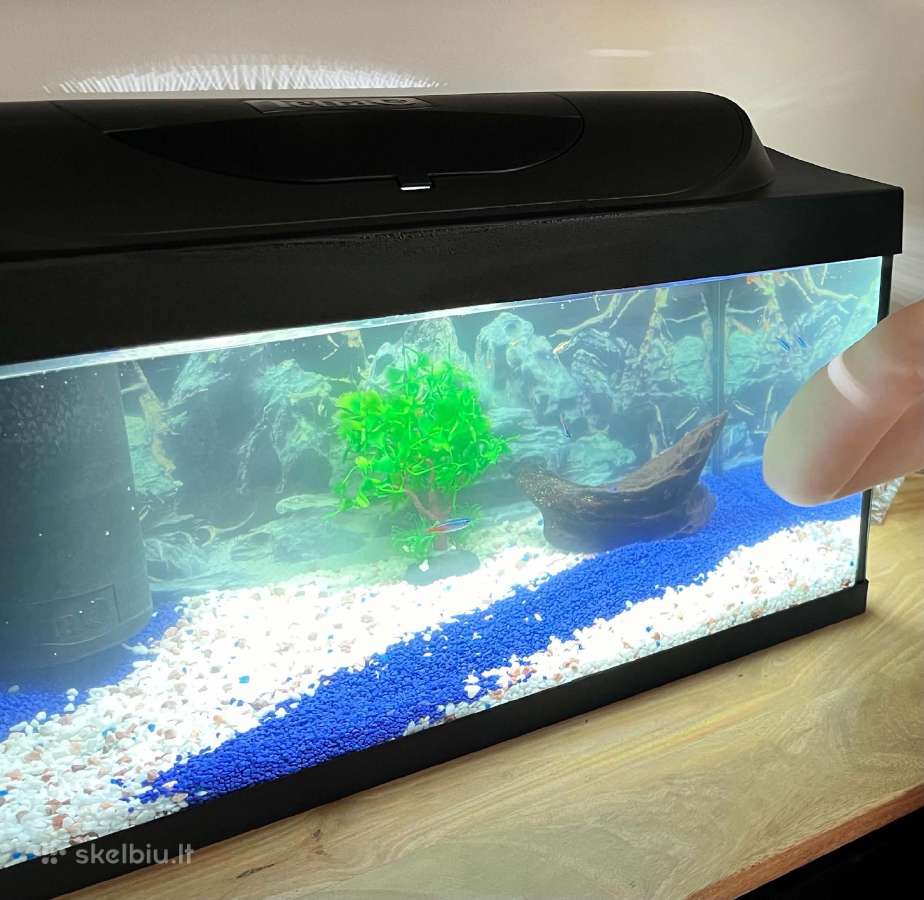 Tetra LED 54 l akvariumas – pilnas komplektas - nuotraukos Nr. 2
