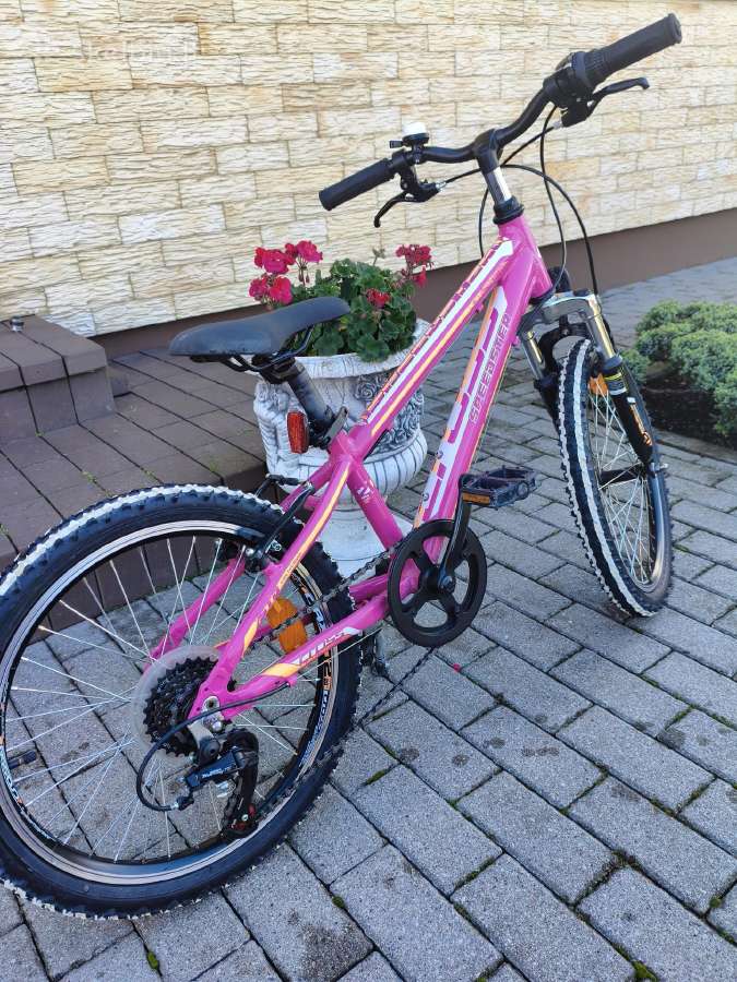 Cross Speedster - nuotraukos Nr. 4
