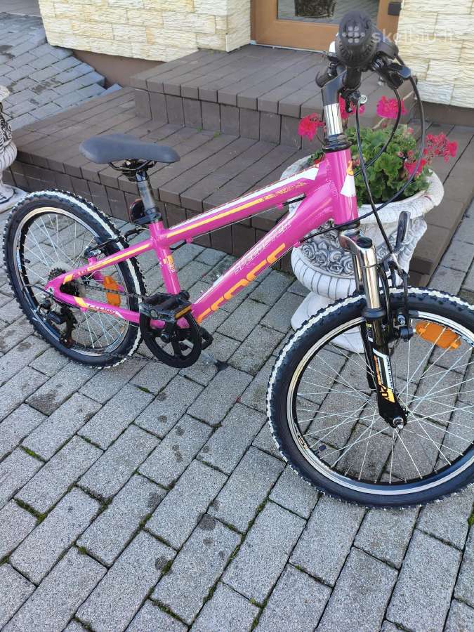 Cross Speedster - nuotraukos Nr. 6
