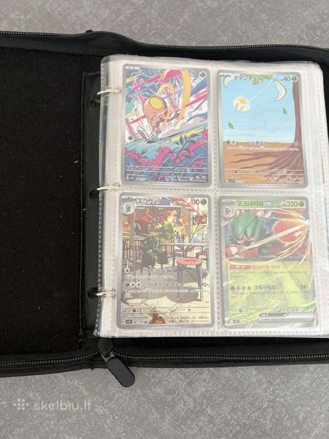 Pokemon albumas - nuotraukos Nr. 2
