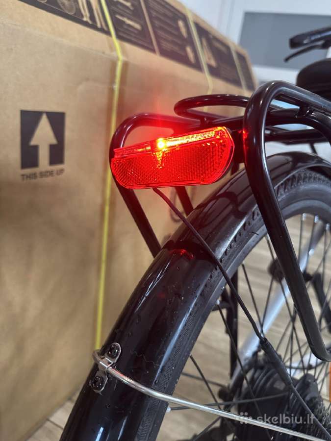 Elektrinis kalnų dviratis Varun S700 rida 21.6 - nuotraukos Nr. 8
