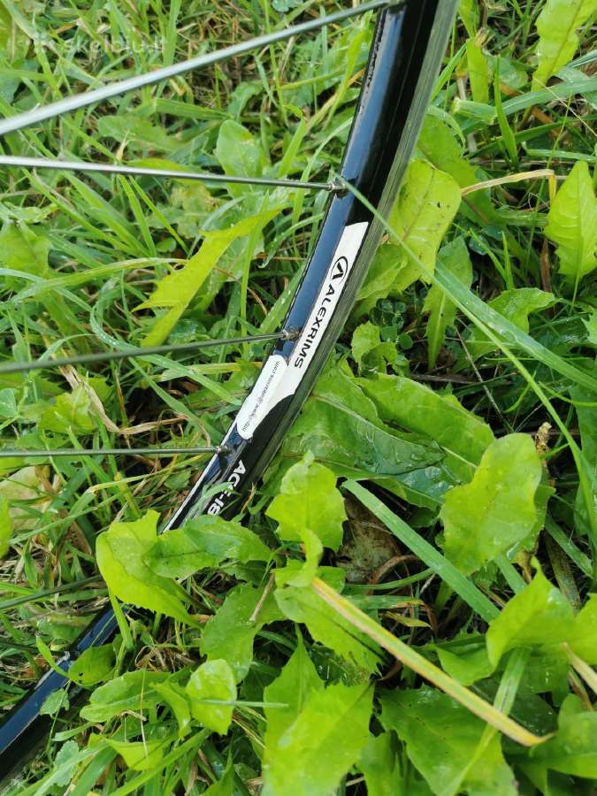 Vintažinis 7005 reflex sx - nuotraukos Nr. 13