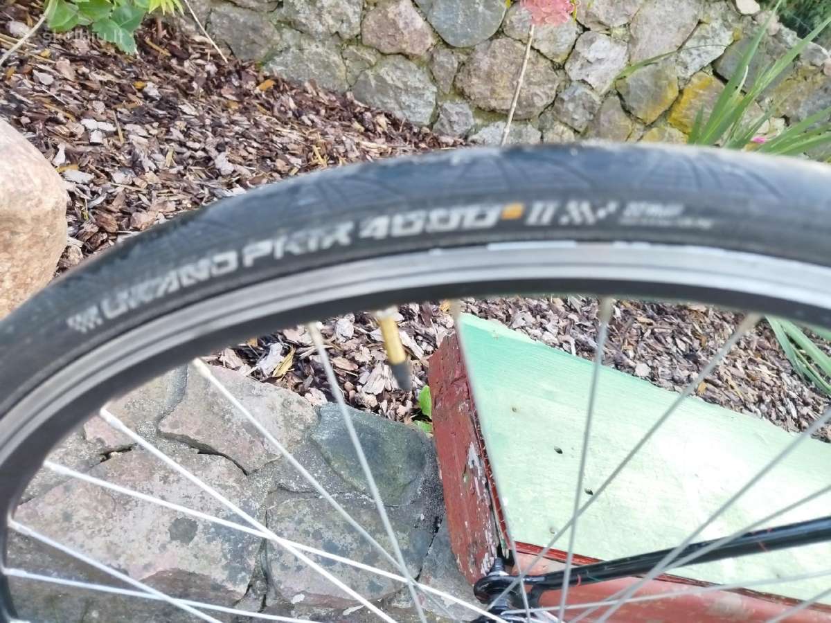 Plento sportinis dviratis Bridgestone - nuotraukos Nr. 8