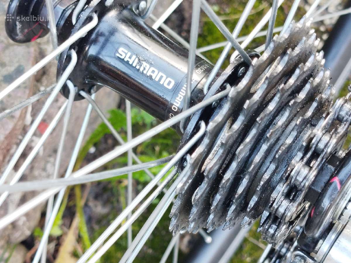 Plento sportinis dviratis Bridgestone - nuotraukos Nr. 10