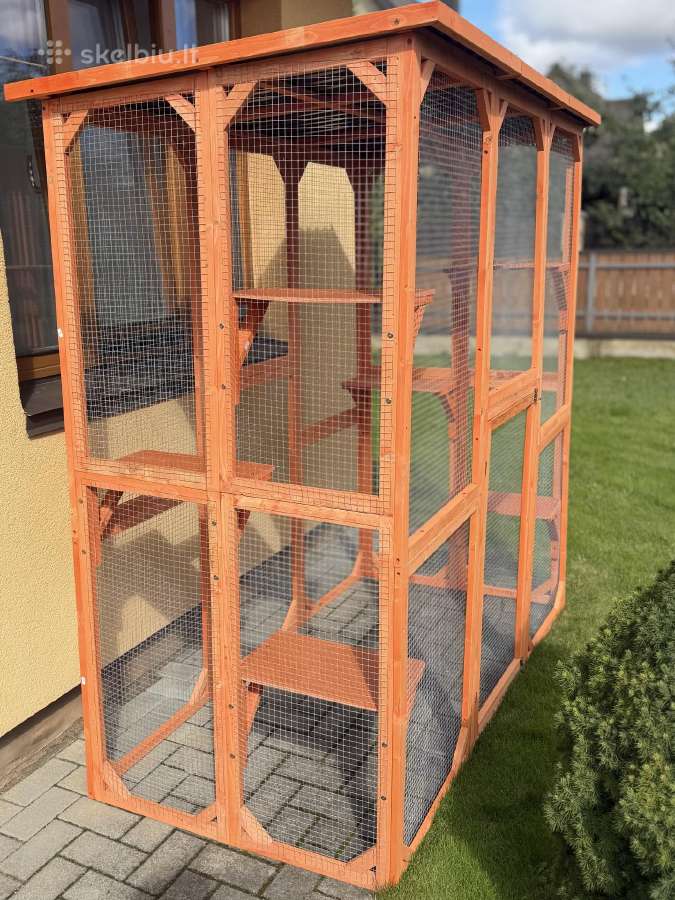 Catio - nuotraukos Nr. 2