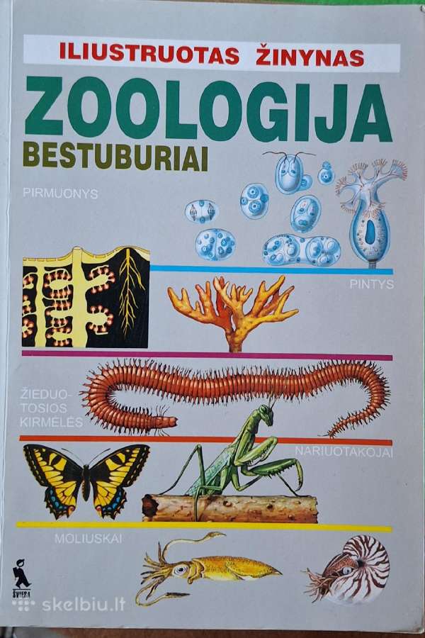 Mokyklinės knygos - nuotraukos Nr. 3