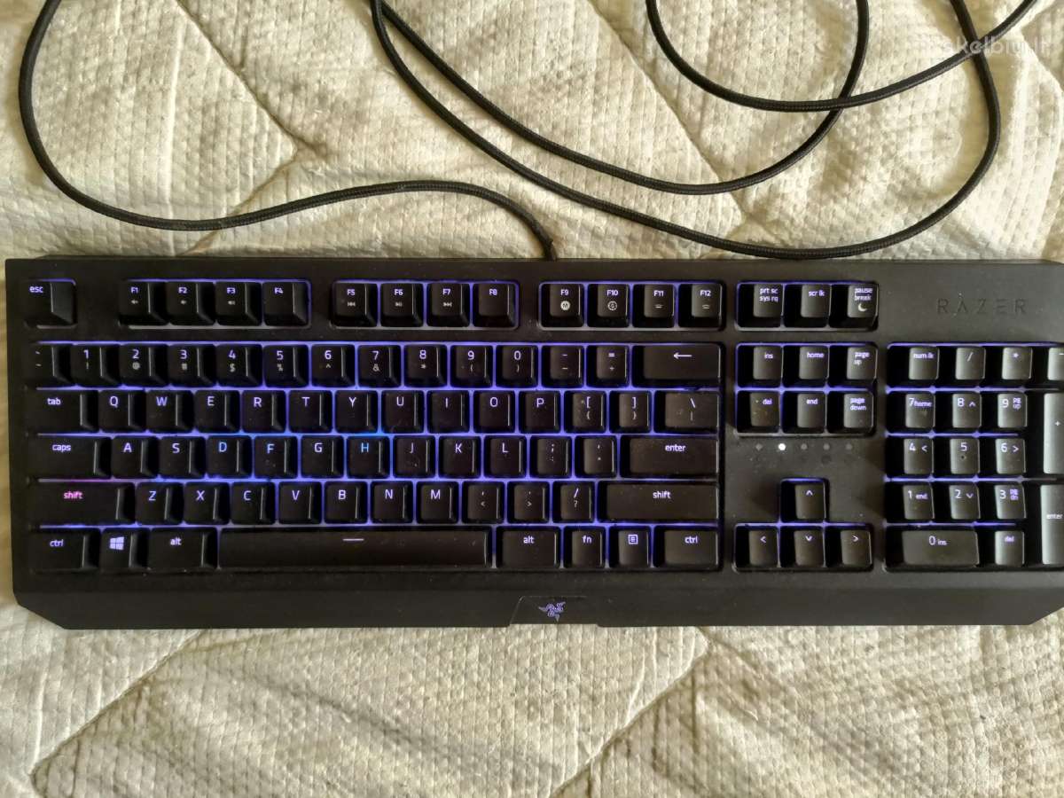 Mechanine razer blackwidow 2019, green switch - nuotraukos Nr. 3