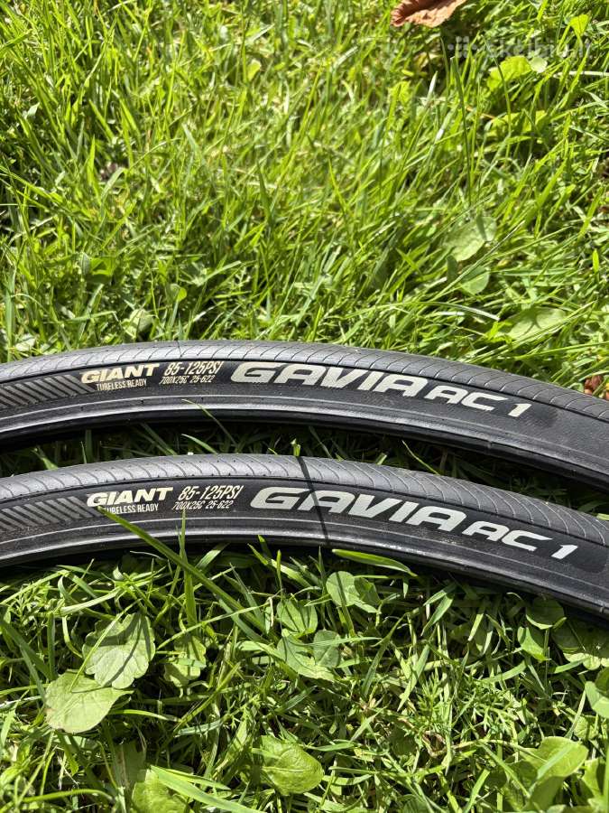 Padangos Giant Gavia Ac 1 700x28c Tubeless - nuotraukos Nr. 3