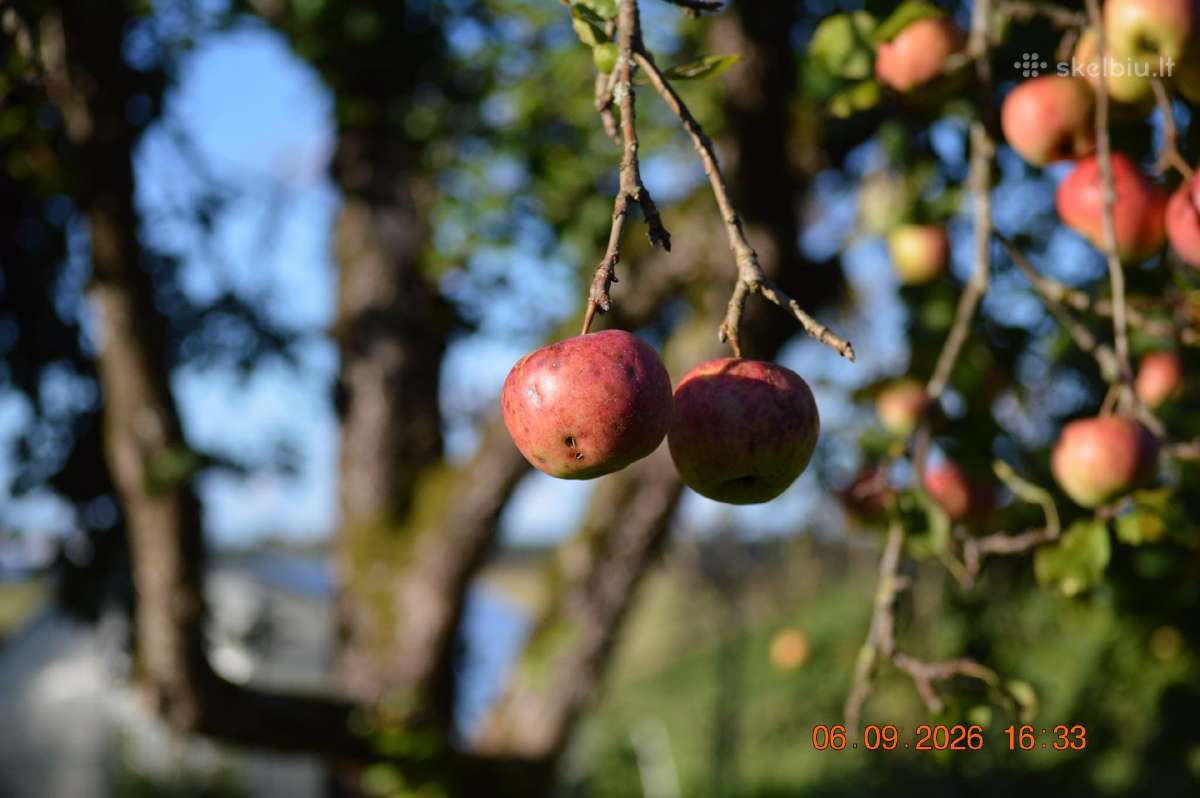 Parduodu fotoaparatą nikon D3200 - nuotraukos Nr. 10