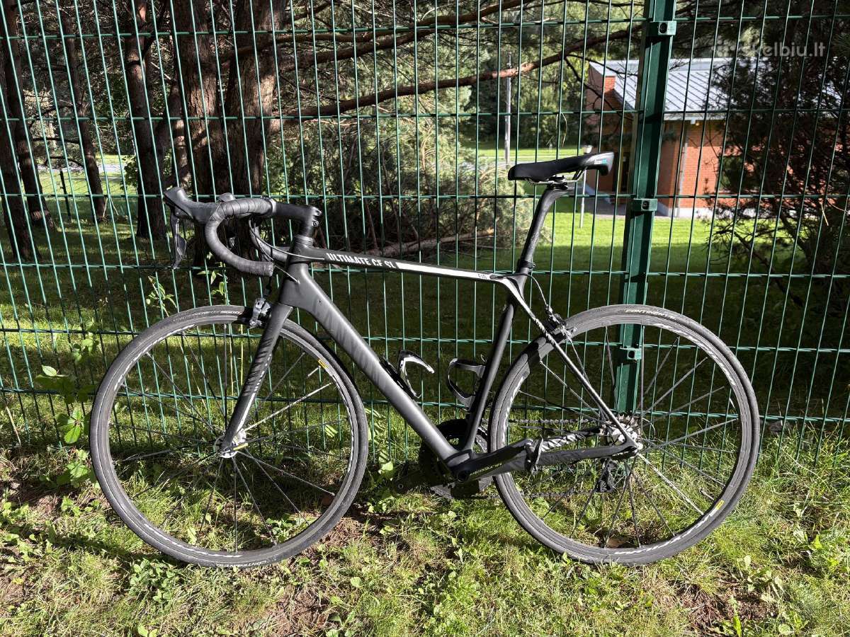 Elite Carbon Canyon Ultimate CF SL F10 dviratis - nuotraukos Nr. 11