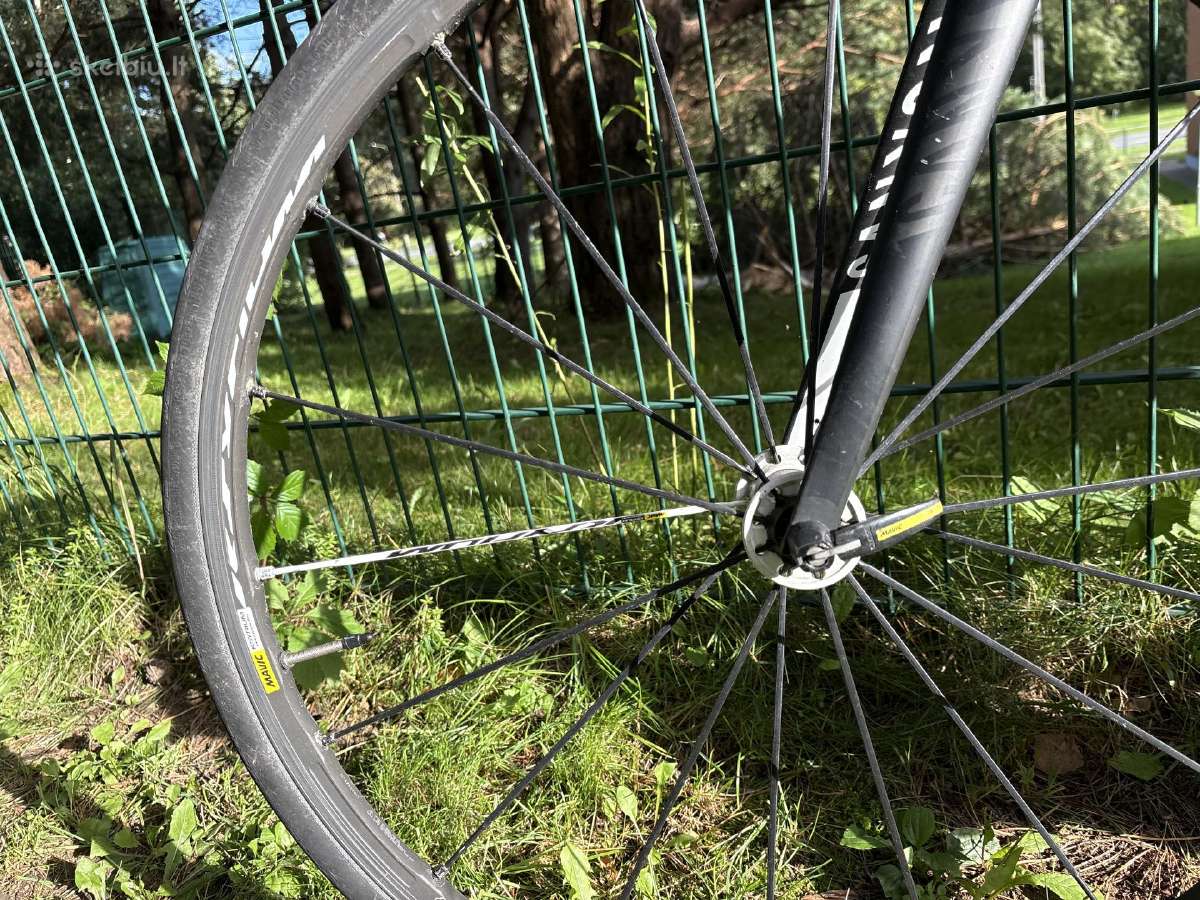Elite Carbon Canyon Ultimate CF SL F10 dviratis - nuotraukos Nr. 13
