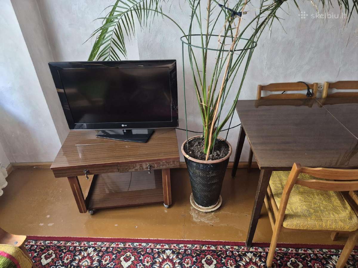 Gal kam reikia.viskas kas foto. - nuotraukos Nr. 2