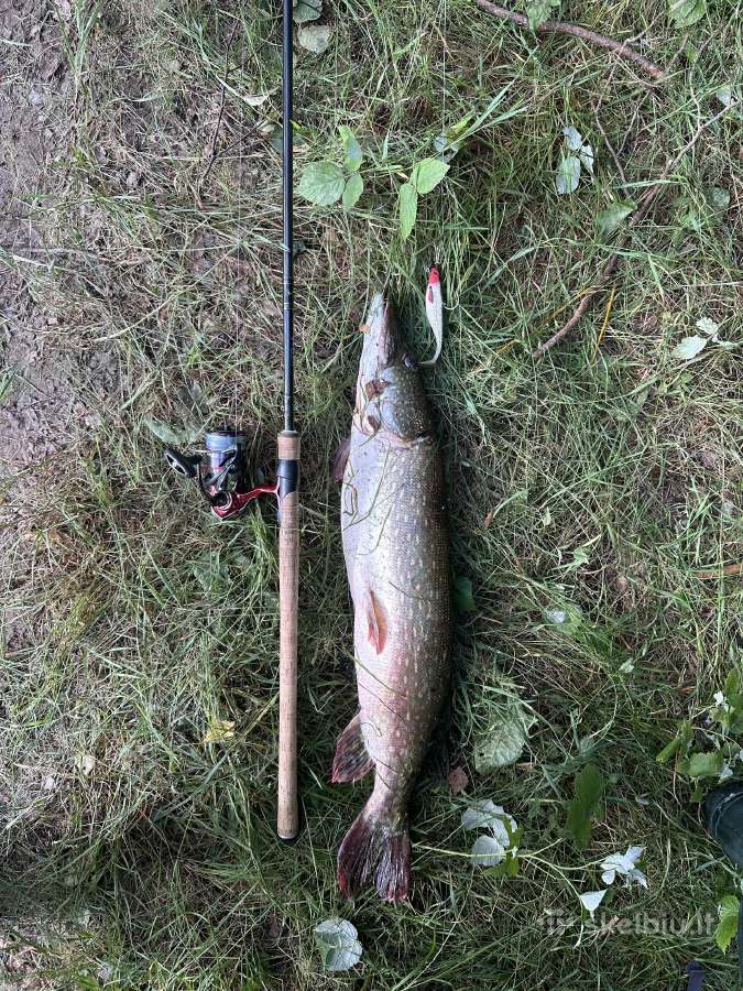 Daiwa Fuego rite 3000 - nuotraukos Nr. 2