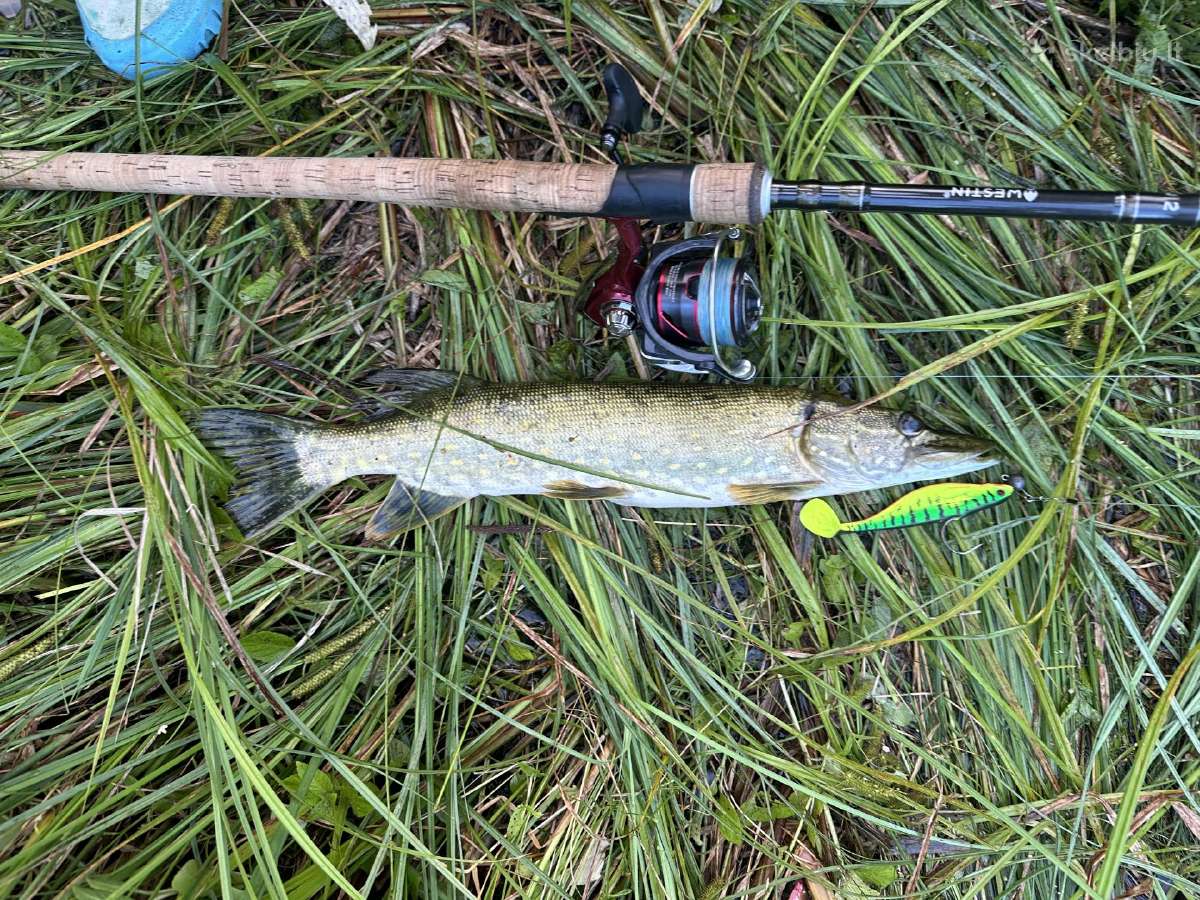 Daiwa Fuego rite 3000 - nuotraukos Nr. 3