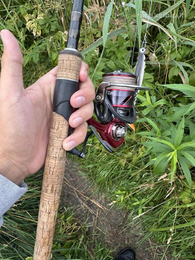 Daiwa Fuego rite 3000 - nuotraukos Nr. 6
