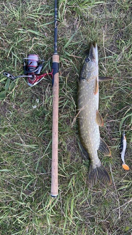 Daiwa Fuego rite 3000 - nuotraukos Nr. 12