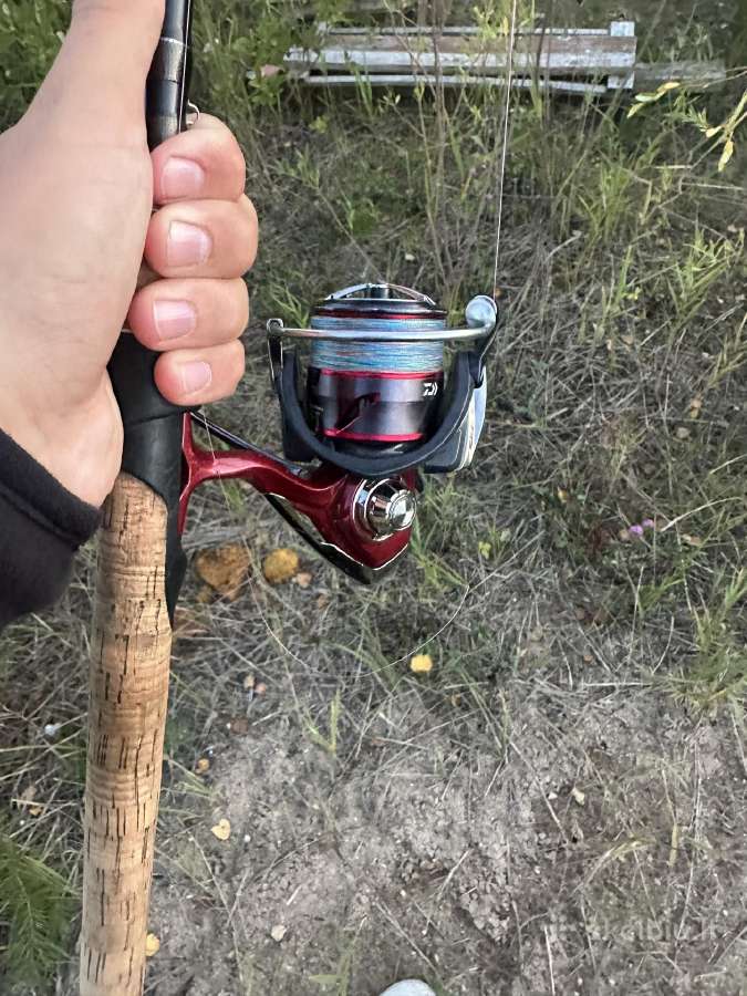 Daiwa Fuego rite 3000 - nuotraukos Nr. 17