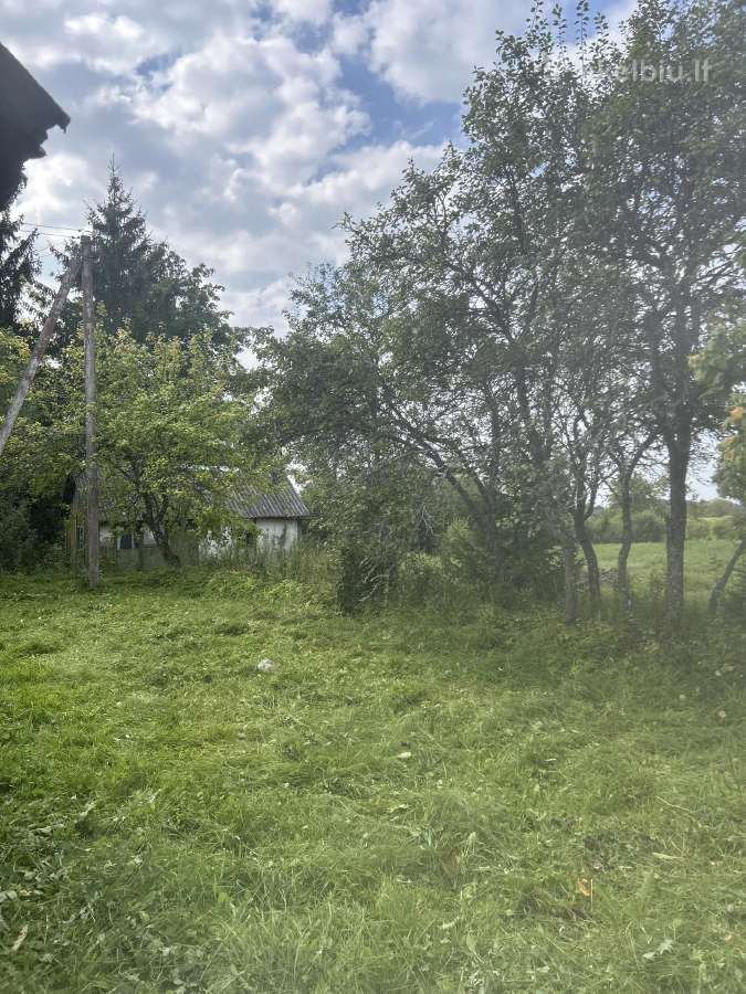 Parduodama sodyba - nuotraukos Nr. 2