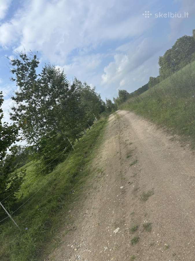 Parduodama sodyba - nuotraukos Nr. 14