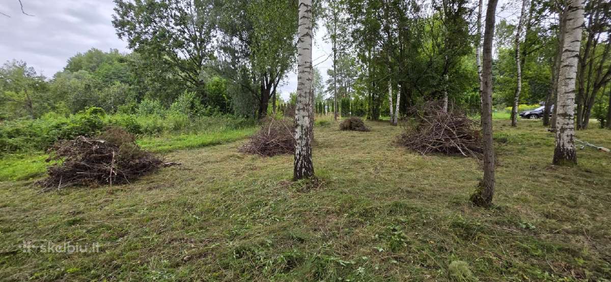 Parduodami 4 sodo sklypai Papilvio k. - nuotraukos Nr. 9