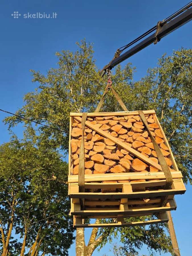 Sausos beržinės malkos džiovintos džiovykloje - nuotraukos Nr. 11