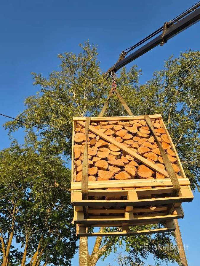 Sausos beržinės malkos džiovintos džiovykloje - nuotraukos Nr. 11