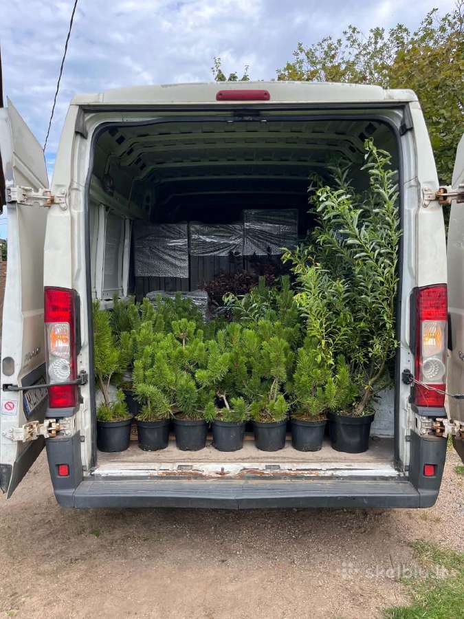Greitas pervežimas Vilniuje atvykimas per 30-60min - nuotraukos Nr. 7
