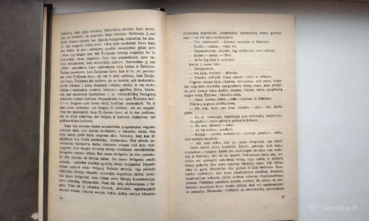 Ch. Semprunas. Didžioji kelionė. 1966 m. leid. - nuotraukos Nr. 5
