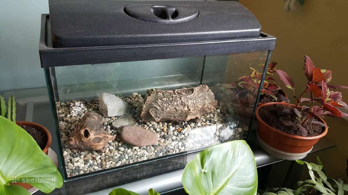 Parduodu 50l akvariumą. - nuotraukos Nr. 7
