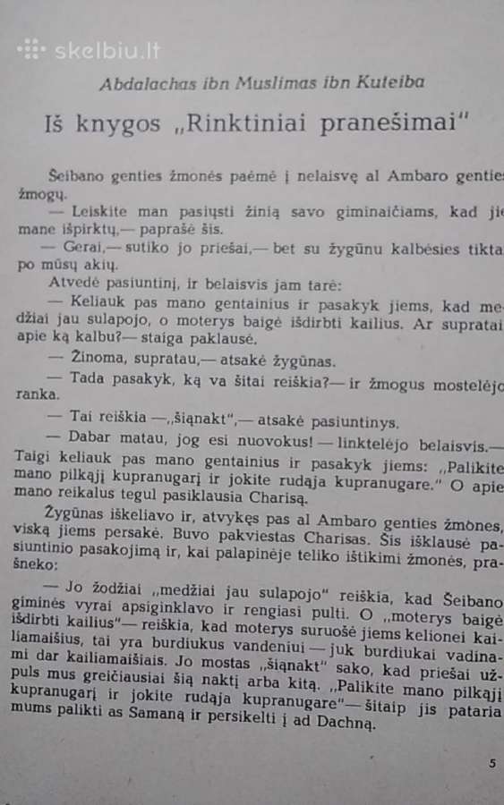 Mėnulių pilnatys virš linksmų stovyklaviečių - nuotraukos Nr. 4