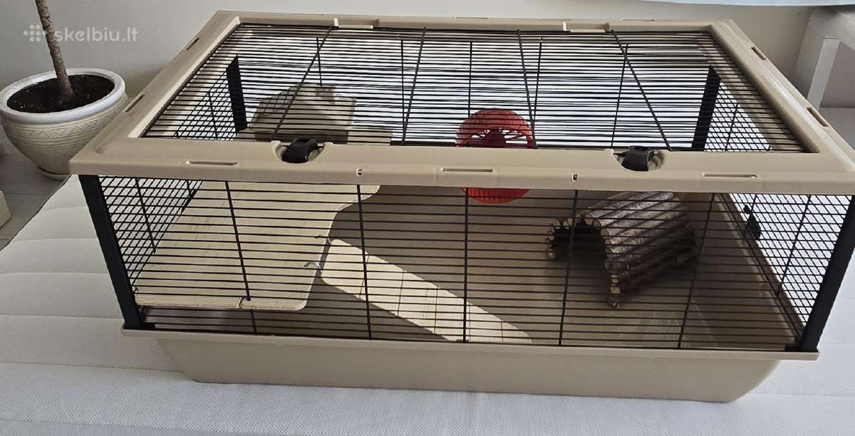 Narvas graužikui žiurkėnui Degu 783648 - nuotraukos Nr. 2