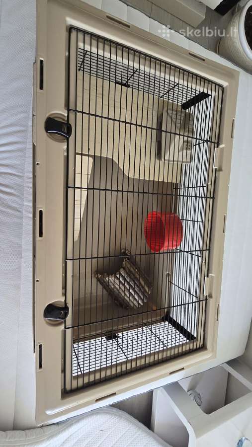 Narvas graužikui žiurkėnui Degu 783648 - nuotraukos Nr. 3