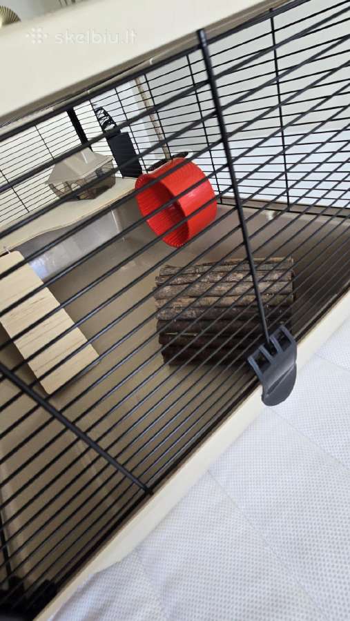 Narvas graužikui žiurkėnui Degu 783648 - nuotraukos Nr. 8