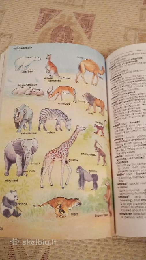 New Junior English Dictionary - nuotraukos Nr. 6