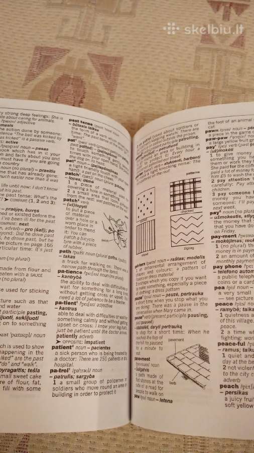 New Junior English Dictionary - nuotraukos Nr. 5