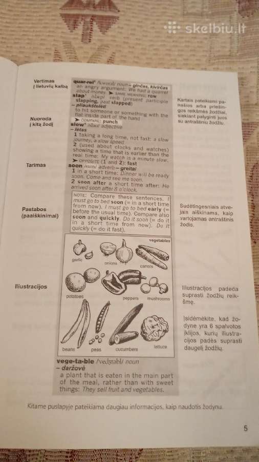 New Junior English Dictionary - nuotraukos Nr. 4