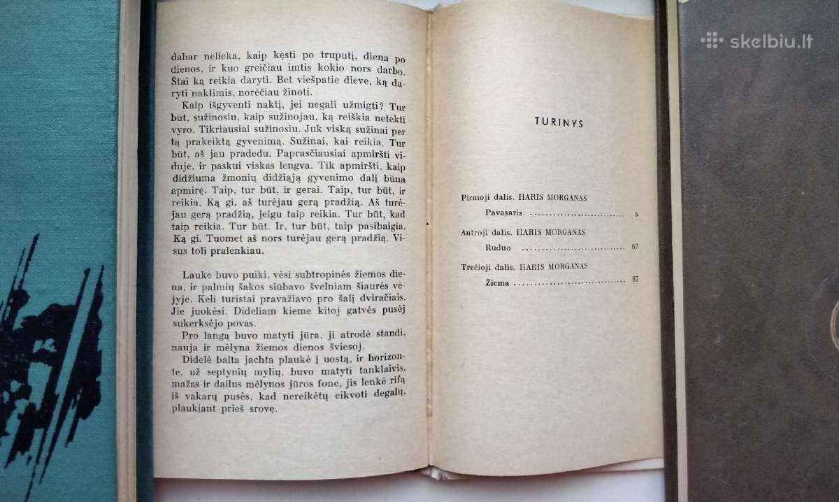 E. Hemingvejus. Kam skambina varpai.turėti ir netu - nuotraukos Nr. 17
