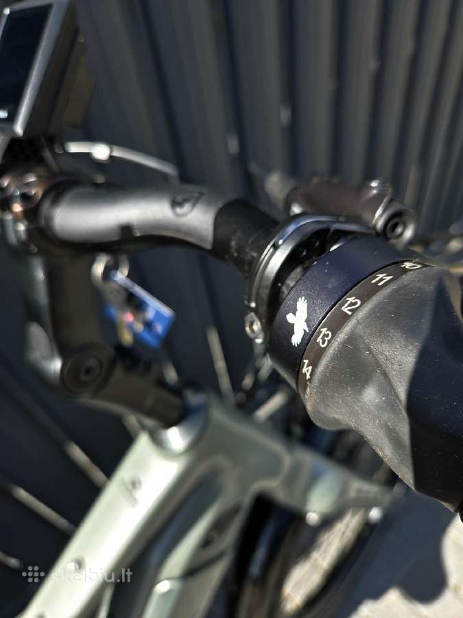 Koga Bosch CX 750wh rohloff 14 dirzas elektrinis - nuotraukos Nr. 4