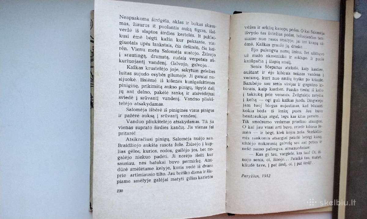 S. Žeromskis. Ištikimoji upė. 1971 m. leid. - nuotraukos Nr. 7