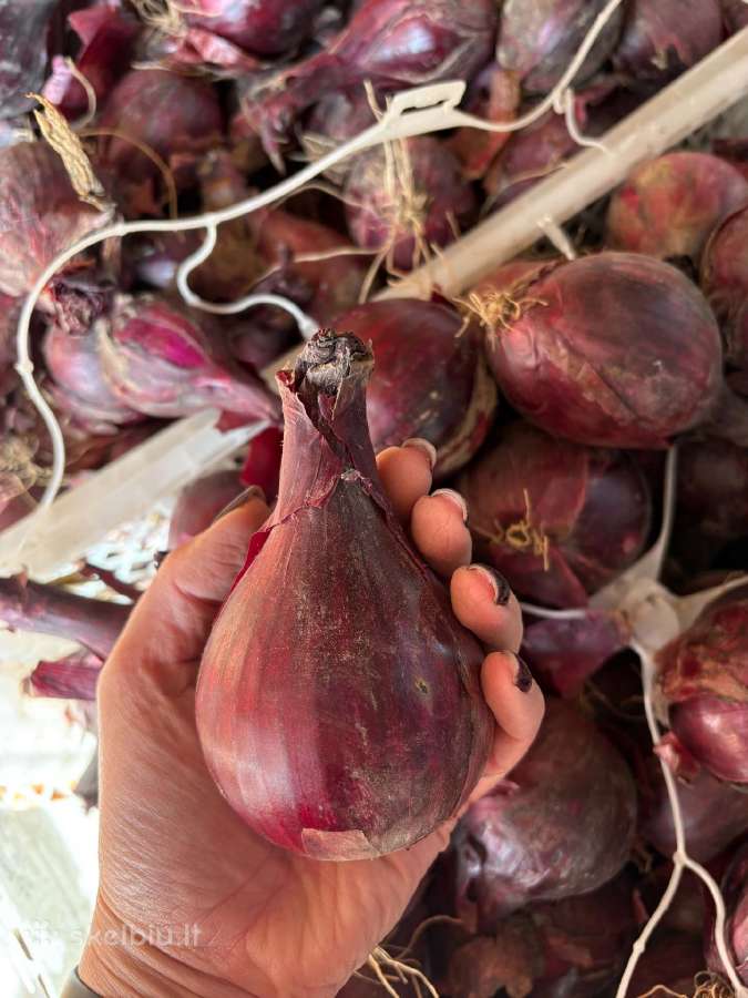 Parduodamas likutis – apie 90 kgkaina 1.80€/kg - nuotraukos Nr. 2