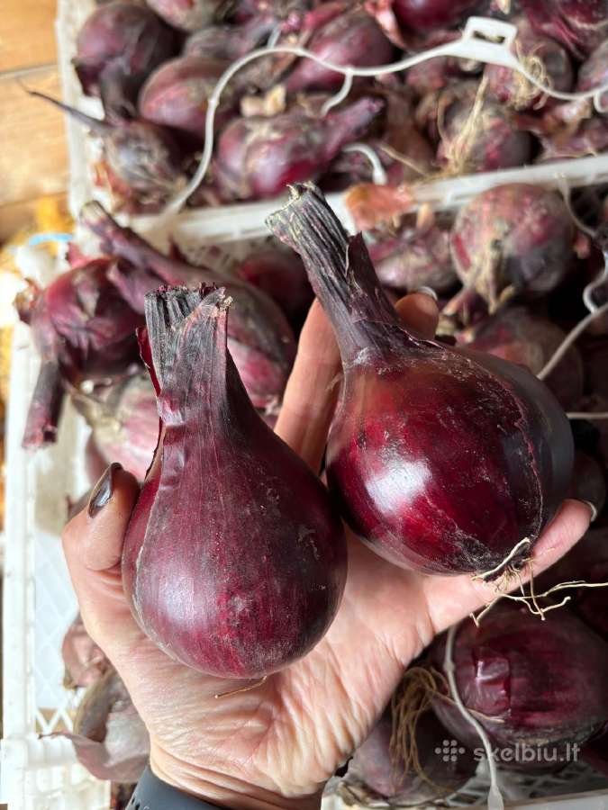 Parduodamas likutis – apie 90 kgkaina 1.80€/kg - nuotraukos Nr. 4