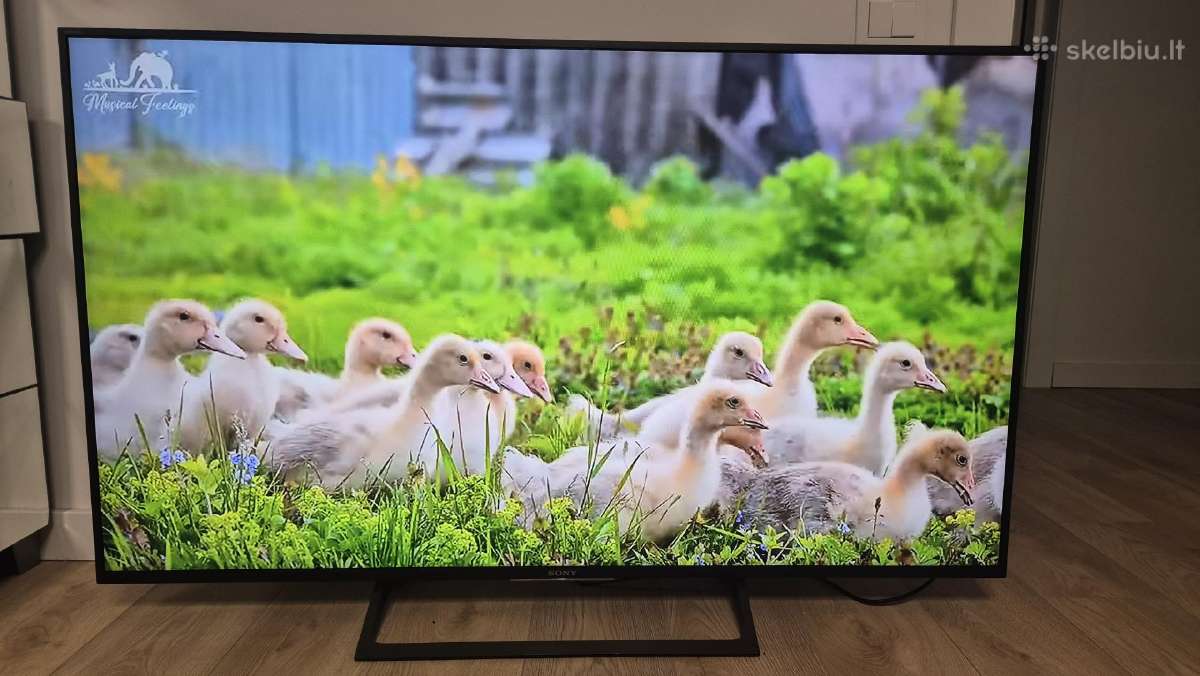 Sony Smart TV - nuotraukos Nr. 2
