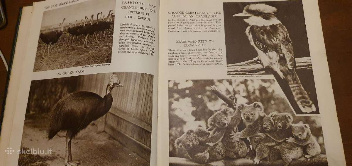 Retas antikvarinis 1934 m. istorijos albumas - nuotraukos Nr. 4